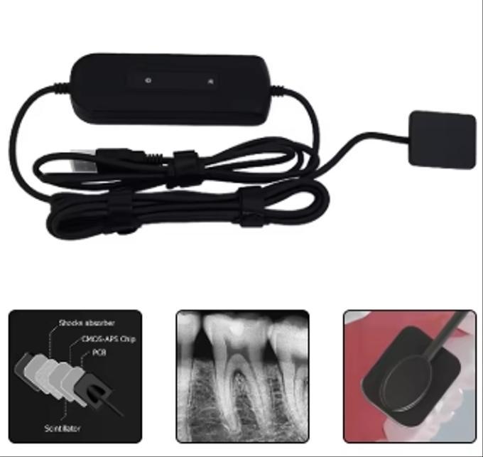 Équipement dentaire Unité de radiographie portable Capteur numérique
